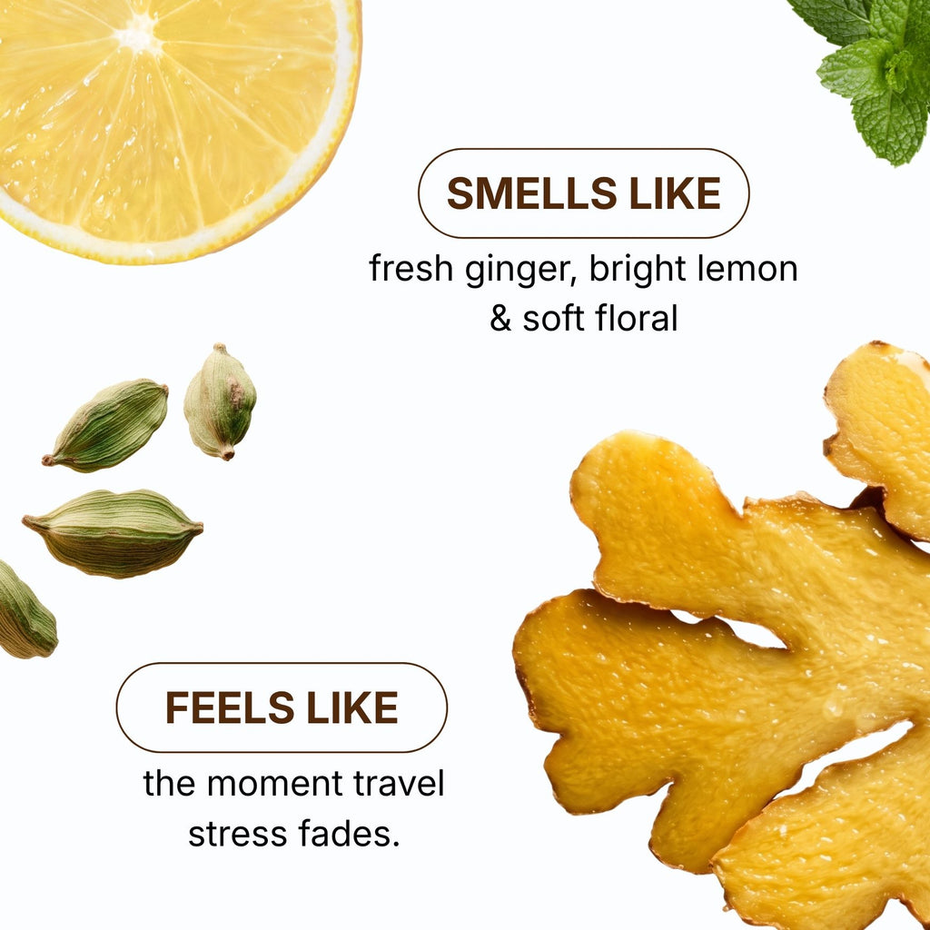 Pausel Starter Kit — Refillable Ginger Aroma Nasal Inhaler