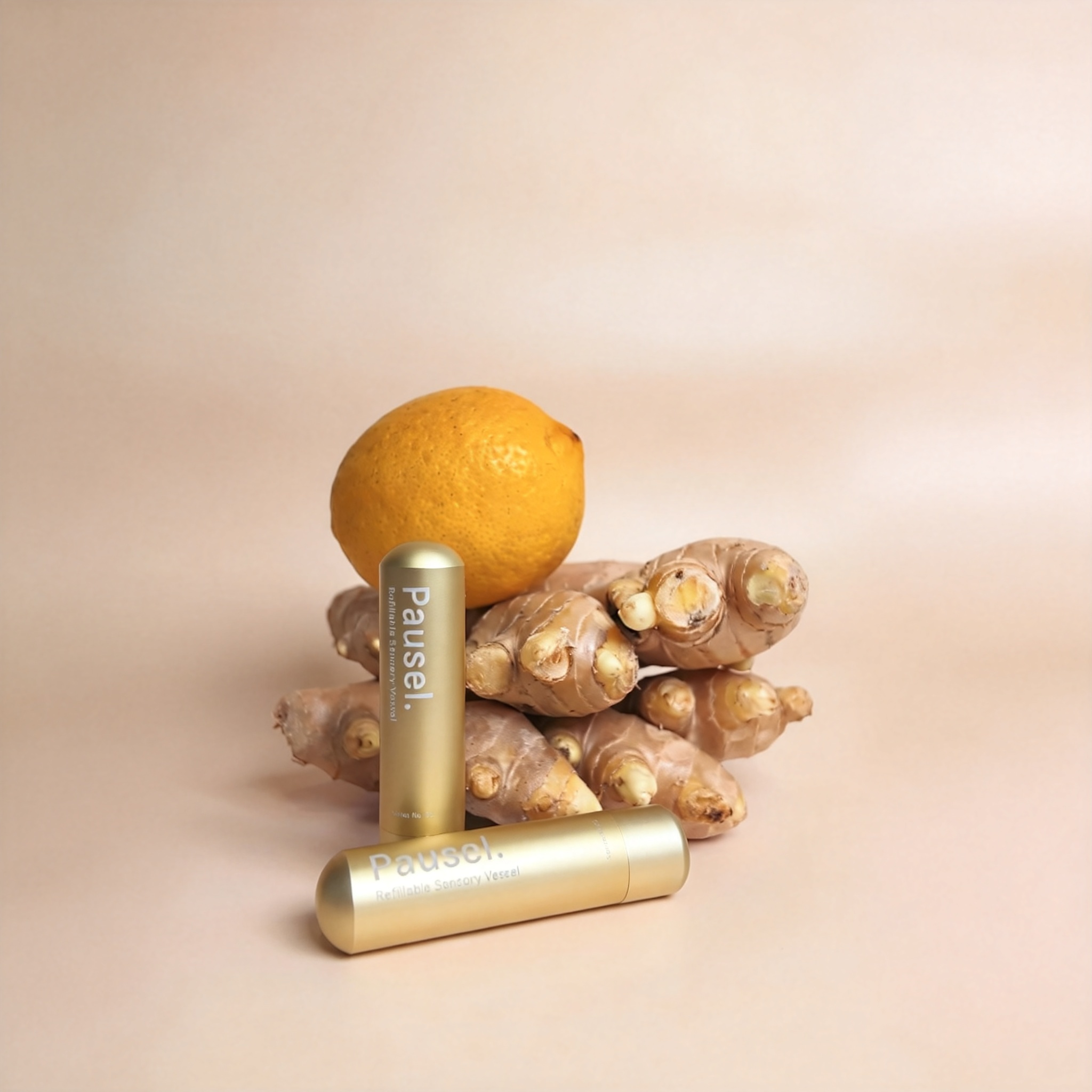 Pausel Ginger Nasal Inhaler — Refillable Aluminium Aromatherapy Inhaler for Travel & Motion Discomfort